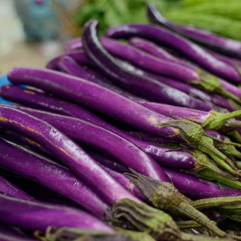 How to grow ping tung eggplants in Houston?